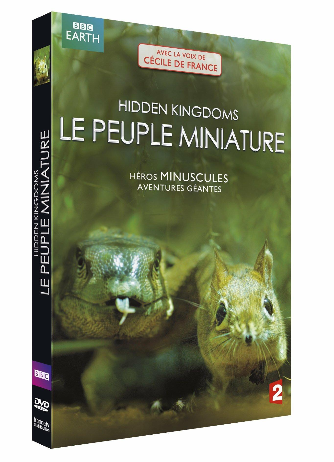 Acheter Hidden kingdoms : Le peuple miniature Bon état - 24,27 € Hidden kingdoms : Le peuple miniature Bon état - reconditionné disponible sur Label Emmaüs